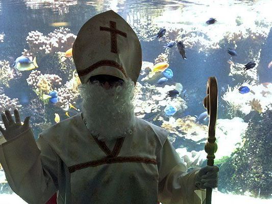 Der Nikolo schaut auch heuer wieder im Haus des Meeres vorbei Der Nikolo schaut auch heuer wieder im Haus des Meeres vorbei