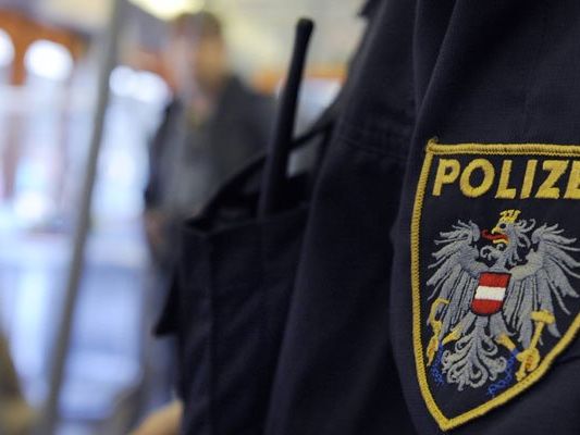 Zwei junge Männer konnten nach einem Diebstahl ausgeforscht werden. Zwei junge Männer konnten nach einem Diebstahl ausgeforscht werden.