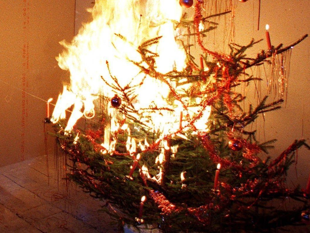 Ein Christbaum geriet in der Silvesternacht in einer Wohnung in Favoriten in Brand. Ein Christbaum geriet in der Silvesternacht in einer Wohnung in Favoriten in Brand.