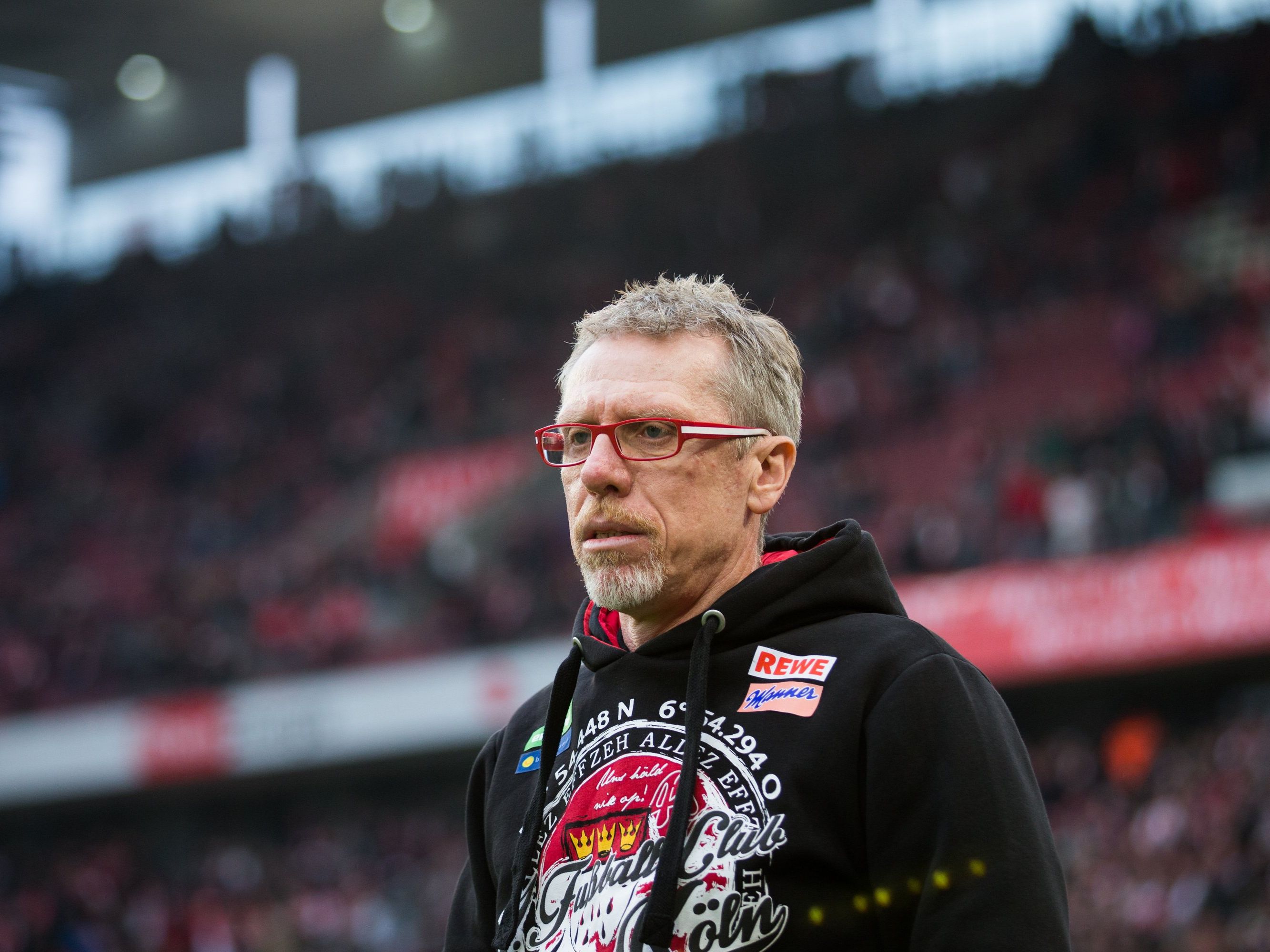 Peter Stöger verlängert beim 1. FC Köln. Peter Stöger verlängert beim 1. FC Köln.