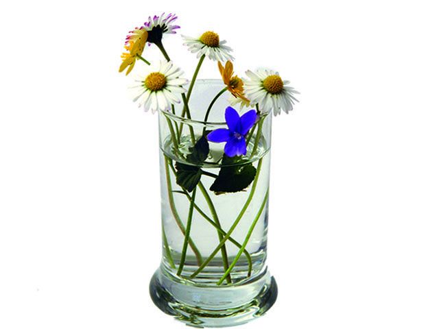 Blumen für die Helden Blumen für die Helden