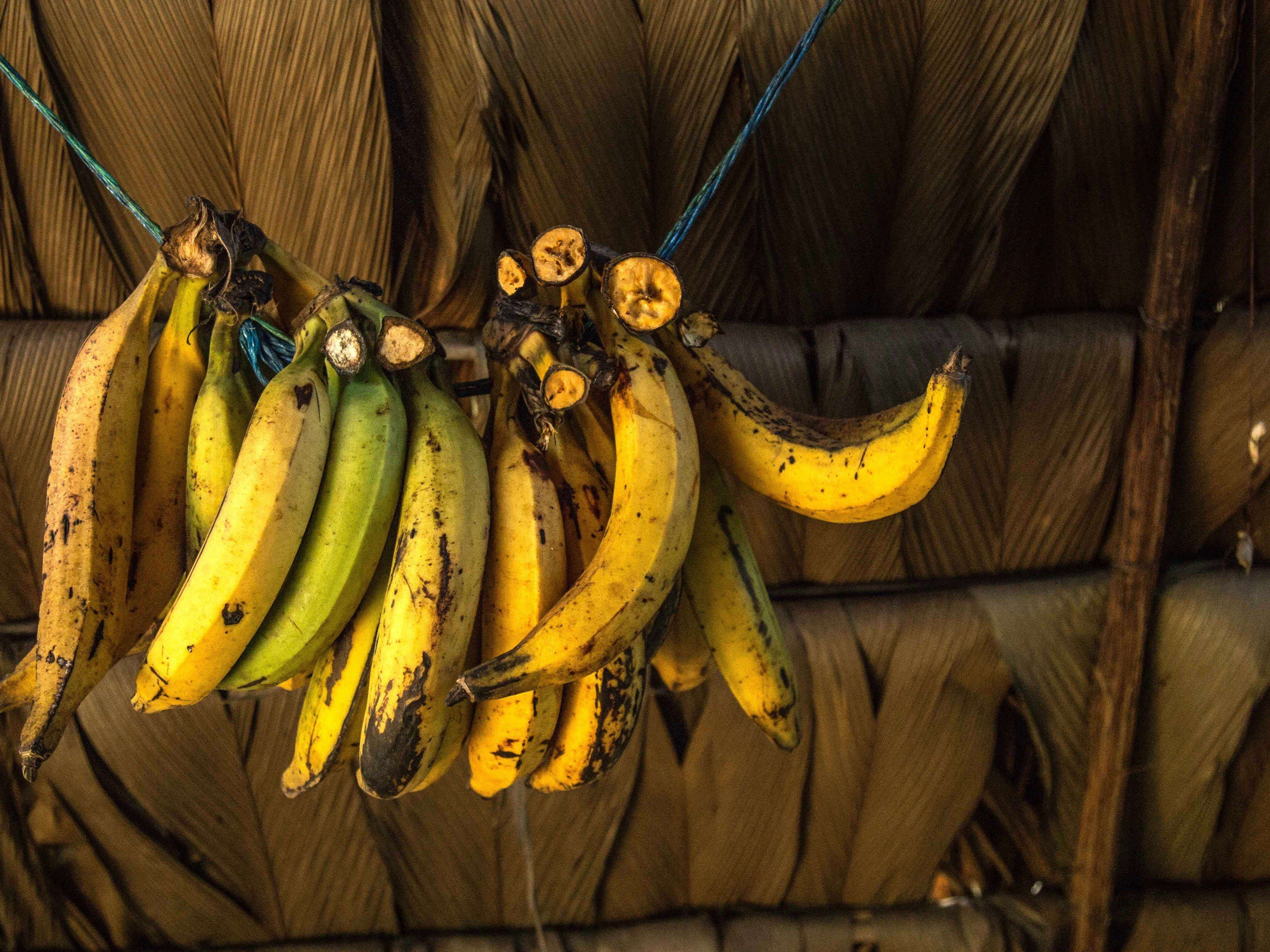 Prozedur förderte gestohlene Goldkette zutage. Prozedur förderte gestohlene Goldkette zutage.