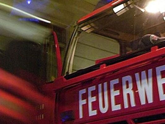 Die Wiener Berufsfeuerwehr löschte den Brand. Trotzdem entstand an dem Auto Totalschaden. Die Wiener Berufsfeuerwehr löschte den Brand. Trotzdem entstand an dem Auto Totalschaden.