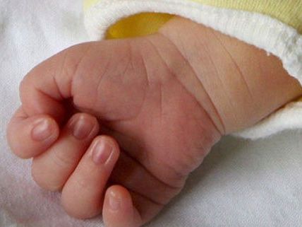 Das Neujahrsbaby 2016 kam in Wiener Neustadt zur Welt. Das Neujahrsbaby 2016 kam in Wiener Neustadt zur Welt.