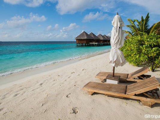 Das Mirihi Island Resort auf den Malediven wurde von TripAdvisor zu einem der zehn besten Hotels 2016 gekürt. Das Mirihi Island Resort auf den Malediven wurde von TripAdvisor zu einem der zehn besten Hotels 2016 gekürt.