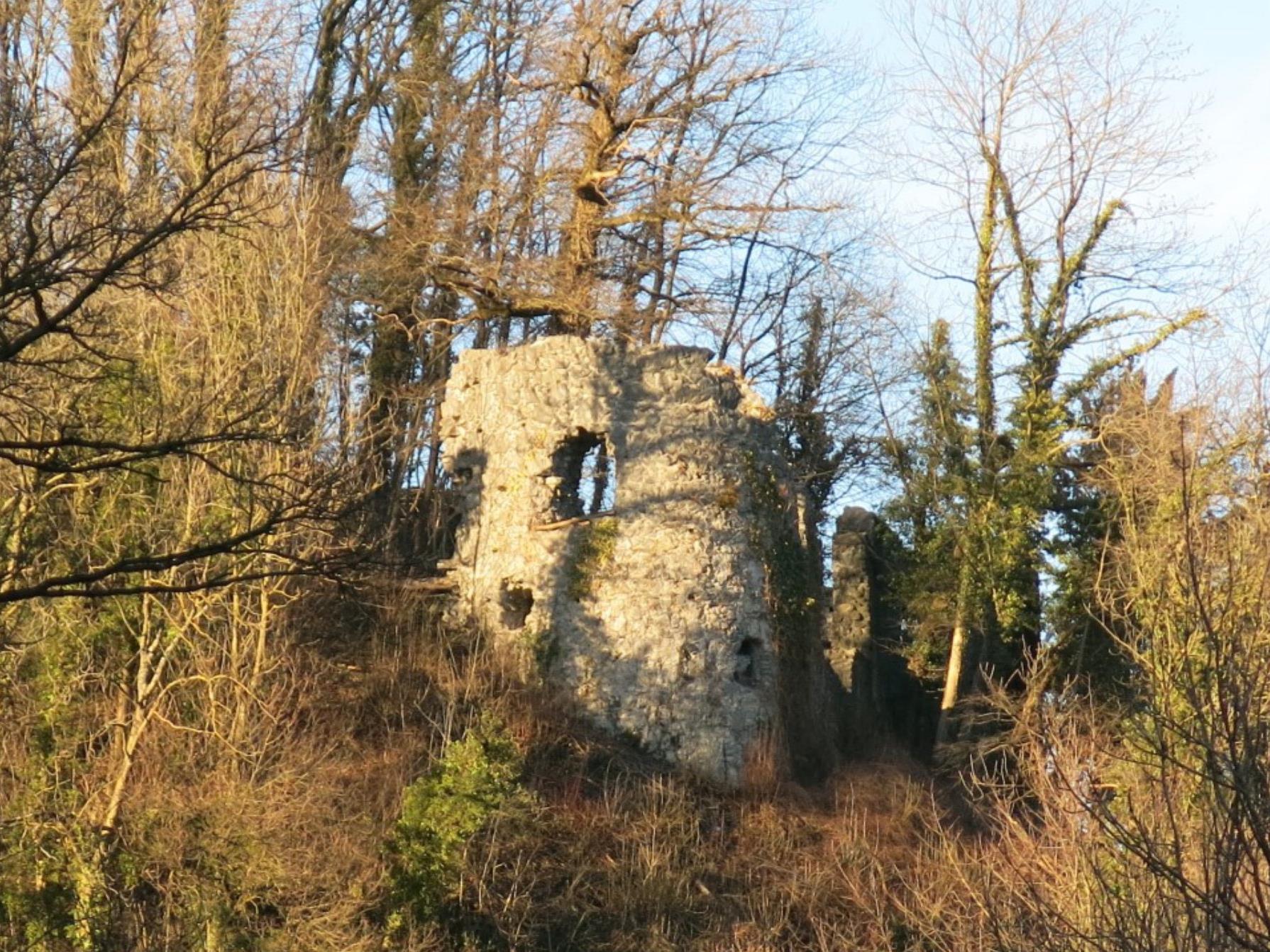 Burgruine Neuburg Koblach