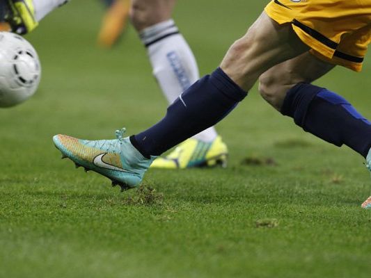 Die Vienna gibt zwei Neuverpflichtungen bekannt. Die Vienna gibt zwei Neuverpflichtungen bekannt.