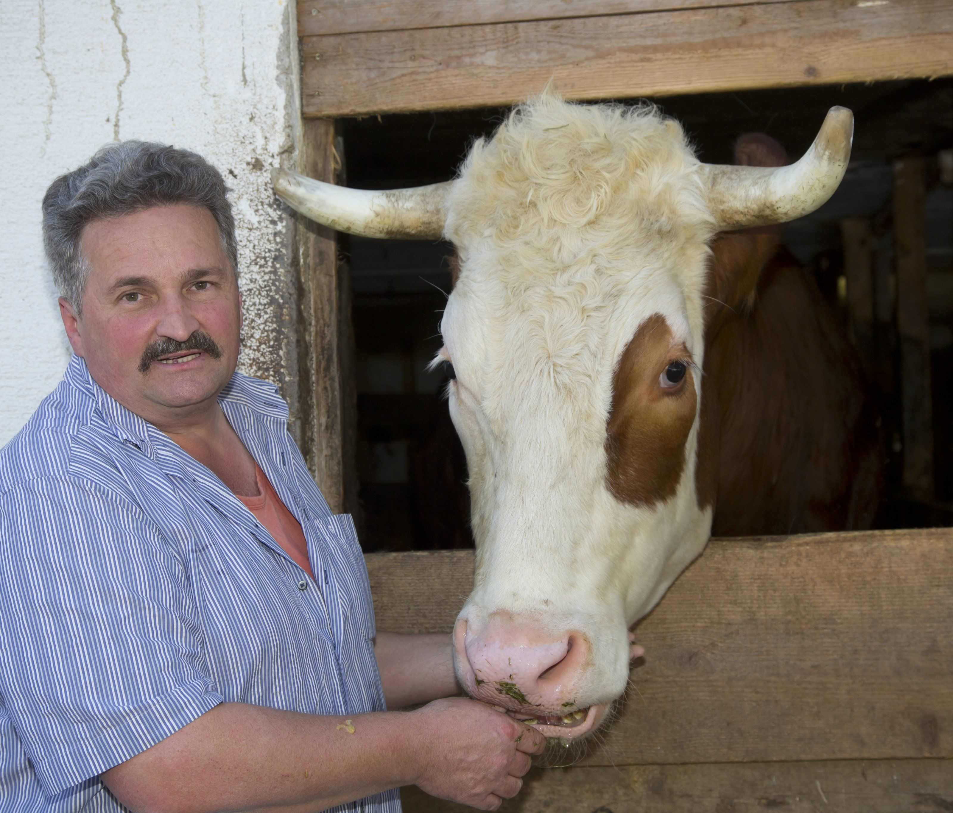 Rudi Längle vom Gut Bozenau mit einem seiner Schützlinge. Rudi Längle vom Gut Bozenau mit einem seiner Schützlinge.