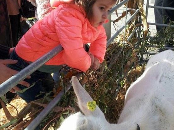 Marlene Bachmeier Marlene Bachmeier