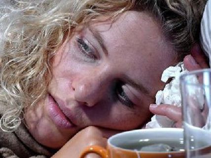 Die Influenza-Welle ist nun auch in Wien angekommen. Die Influenza-Welle ist nun auch in Wien angekommen.