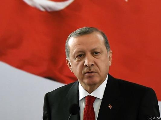 Erdogans Pläne sind aber noch nicht sehr konkret