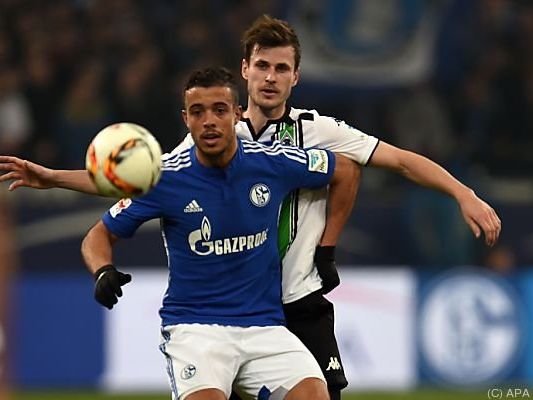 Glücklicher Sieg für Schalke Glücklicher Sieg für Schalke