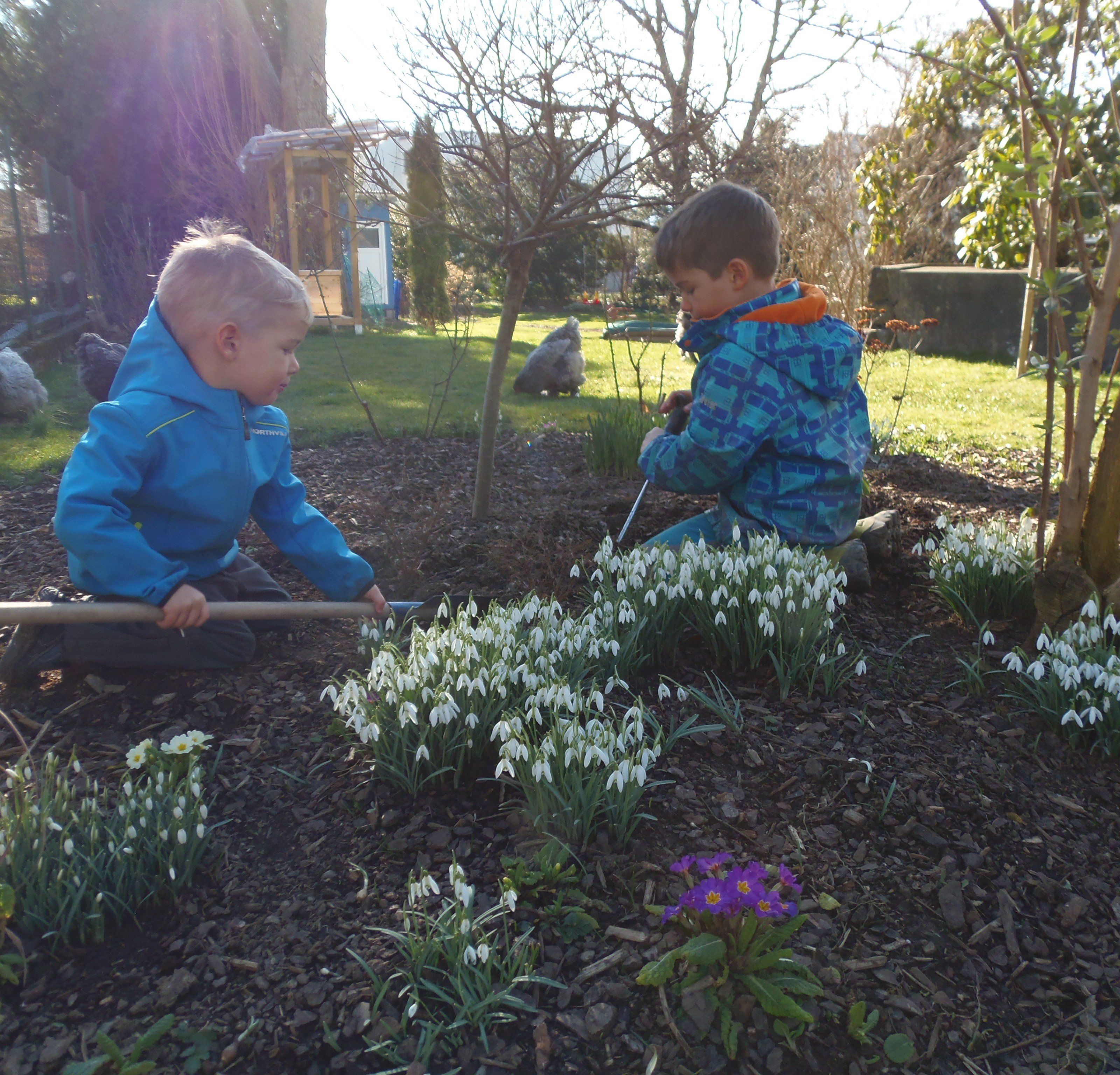 Die Bienen brauchen die blühenden Pflanzen als Nahrung Die Bienen brauchen die blühenden Pflanzen als Nahrung