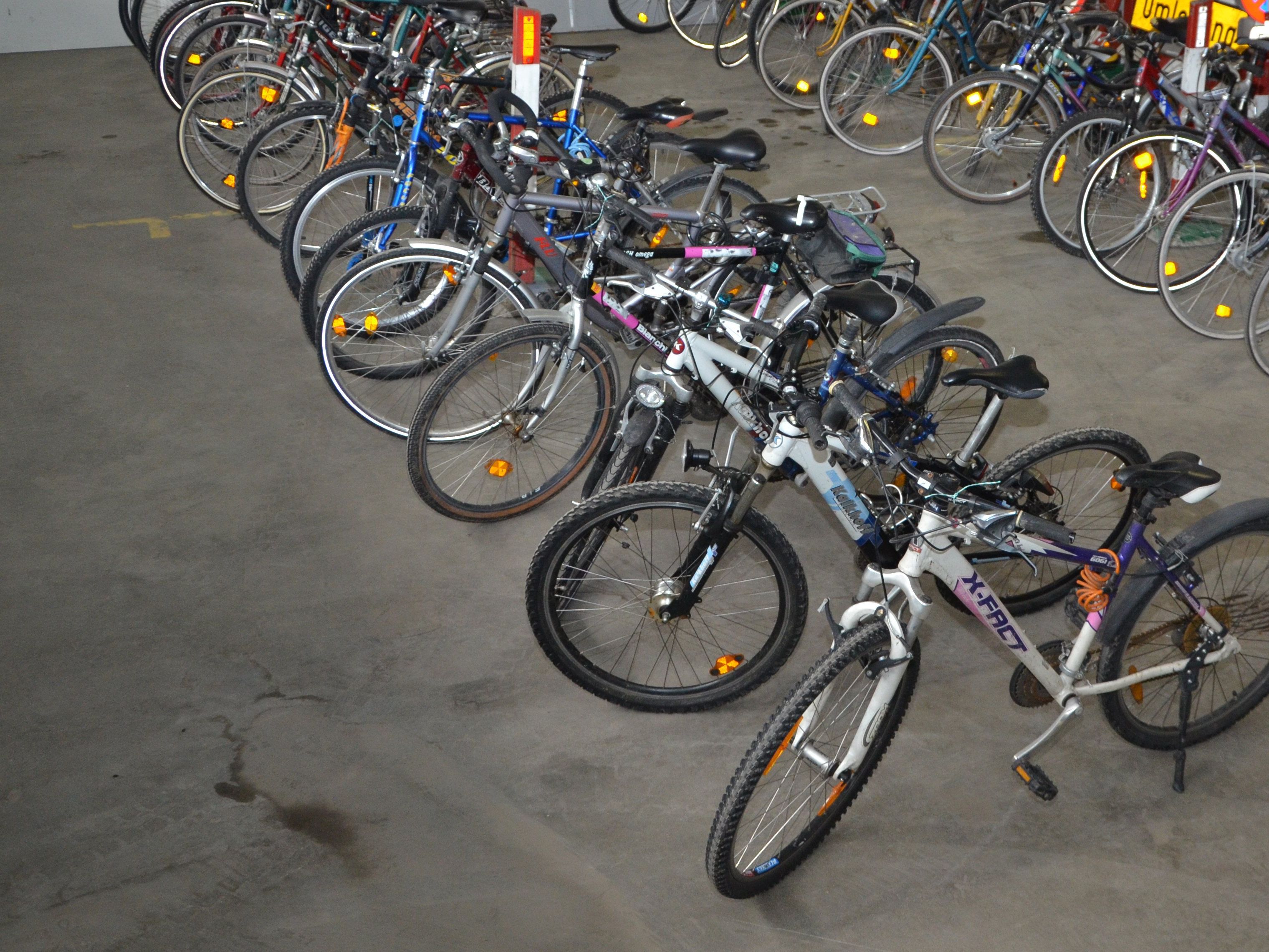 Am kommenden Samstag steigt im Pausenhof der Mittelschulen der beliebte Rankler Frühjahrs Radmarkt Am kommenden Samstag steigt im Pausenhof der Mittelschulen der beliebte Rankler Frühjahrs Radmarkt