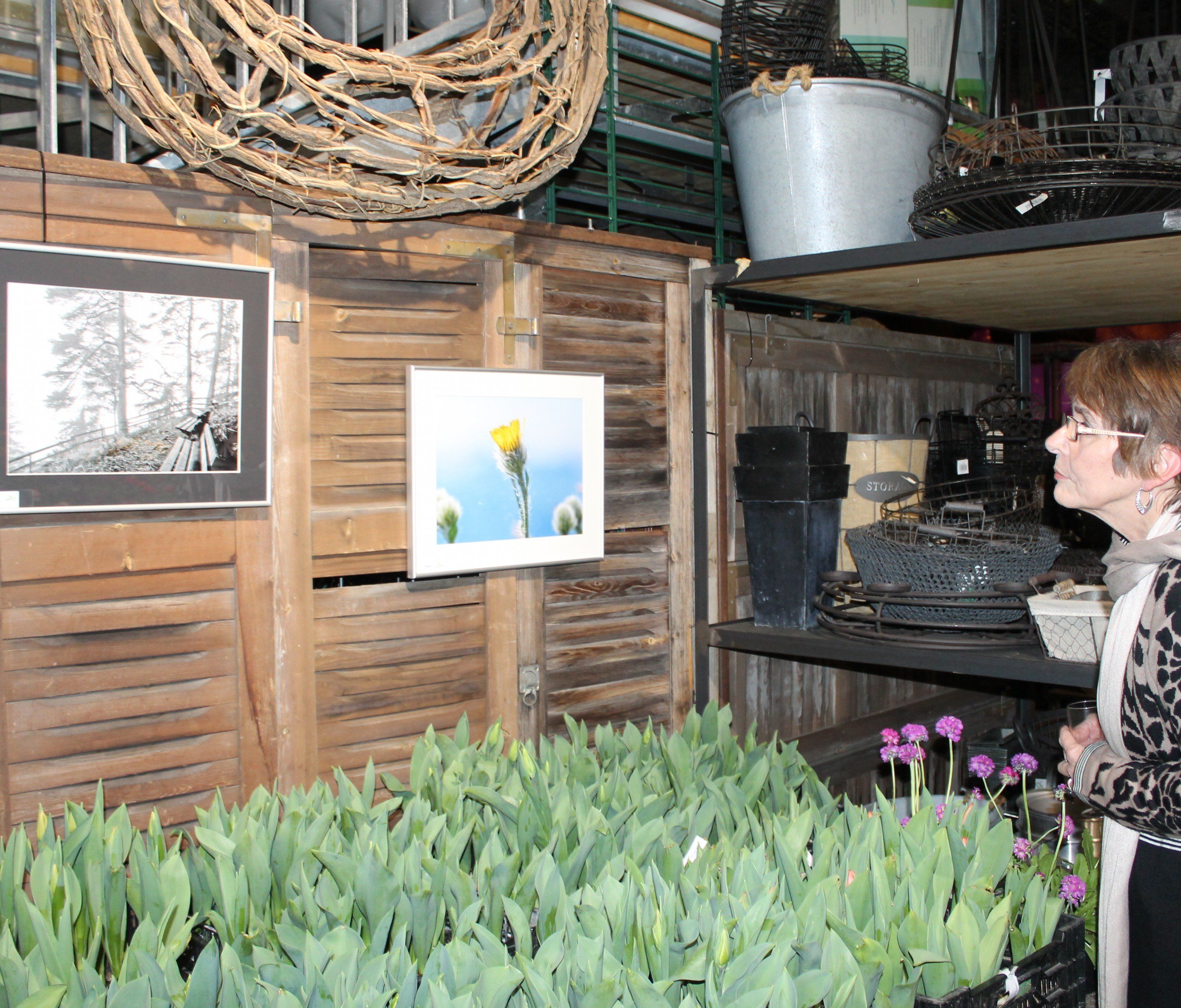 Interessierte Begutachter bei der Ausstellung Interessierte Begutachter bei der Ausstellung