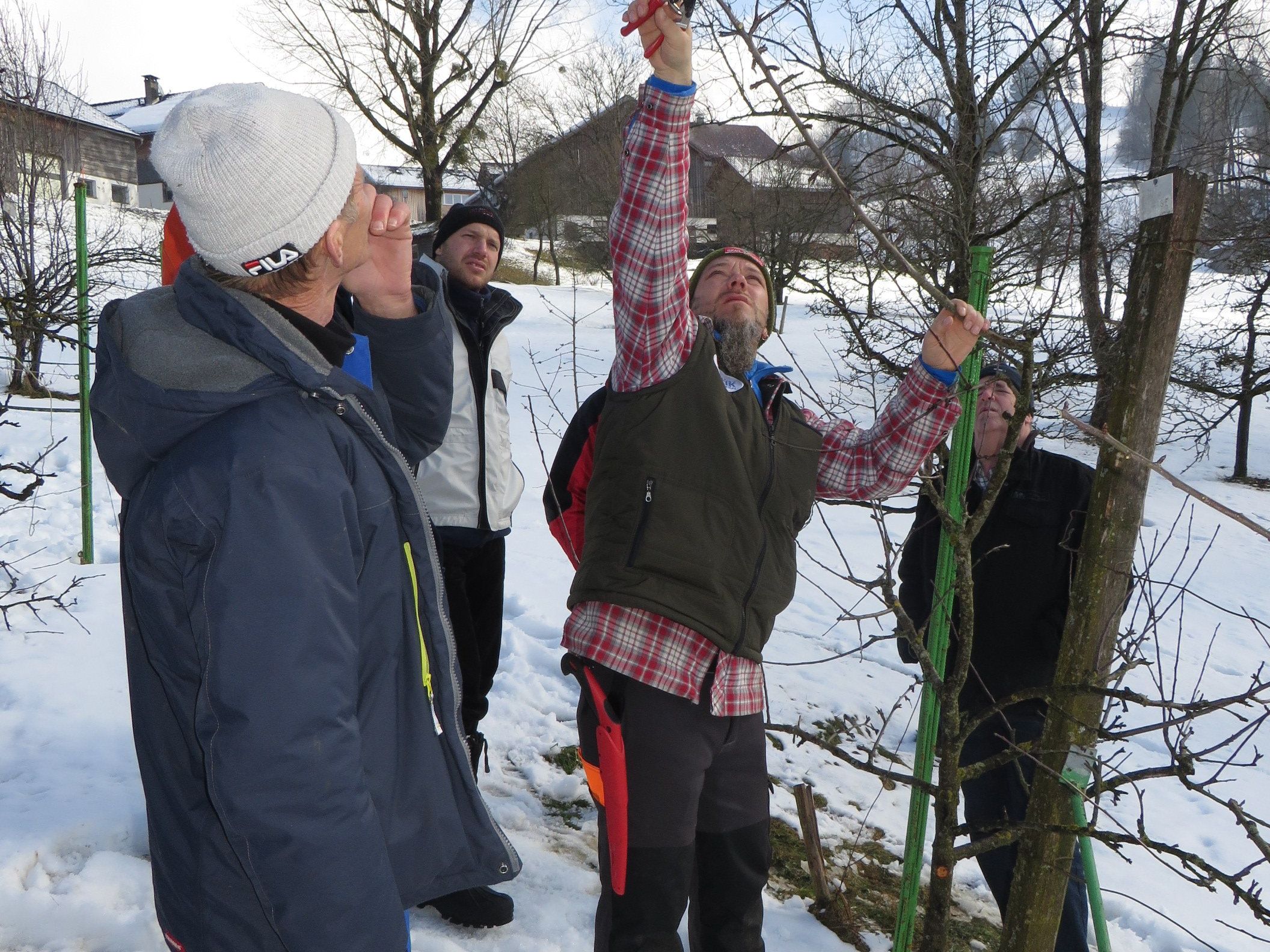 Der richtige Baumschnitt im Frühjahr Der richtige Baumschnitt im Frühjahr