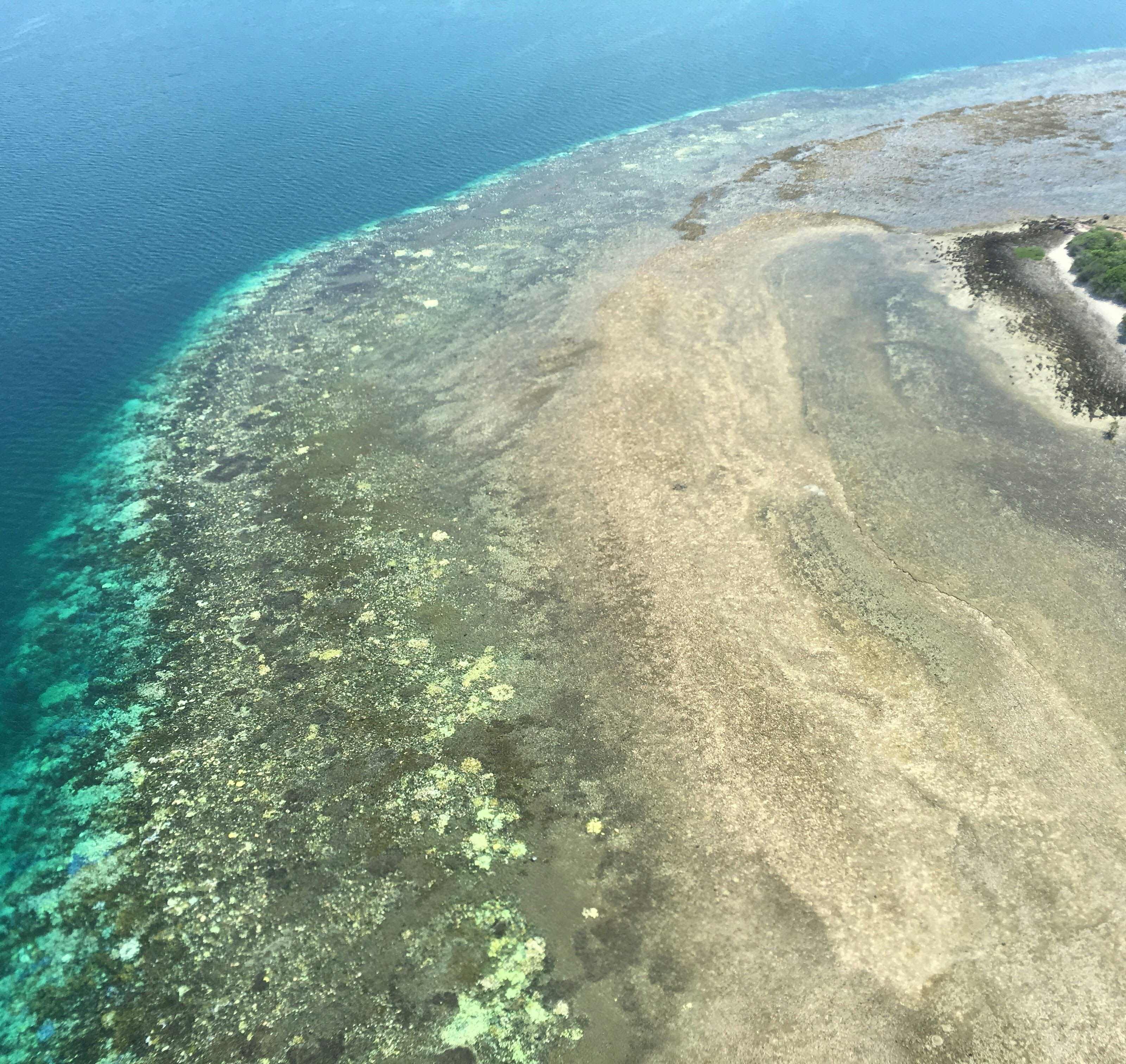 Great Barrier Reef: Die Wissenschaftler nahmen mehr als 500 einzelne Riffe zwischen Cairns in Nordaustralien und Papua-Neuguinea aus der Luft in Augenschein. Great Barrier Reef: Die Wissenschaftler nahmen mehr als 500 einzelne Riffe zwischen Cairns in Nordaustralien und Papua-Neuguinea aus der Luft in Augenschein.