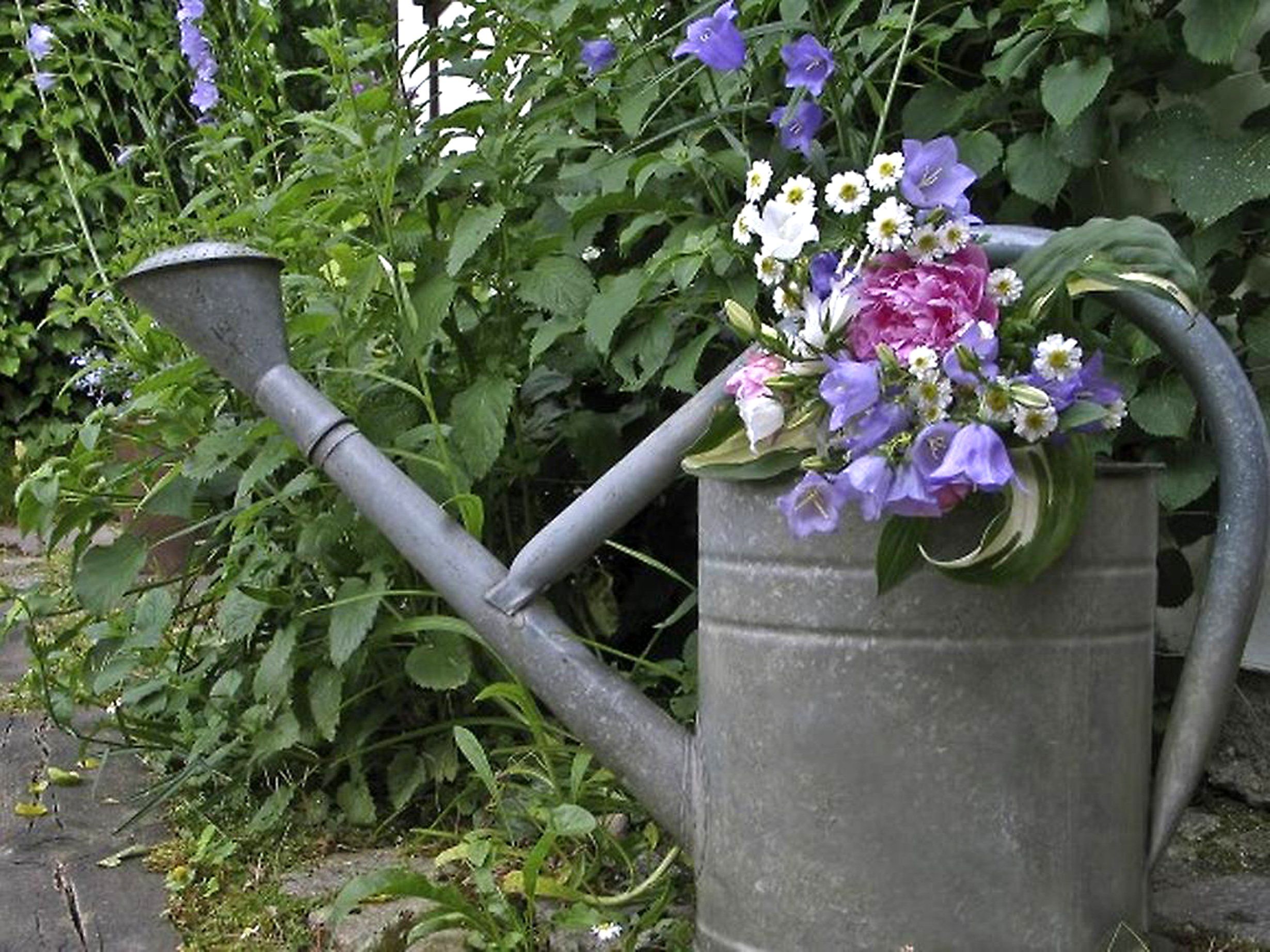 Der OGV Sulz/ Röthis lädt gemeinsam mit den Obst und Gartebauvereinen des Vorderlandes zu Garta tuat guat in den Röthner Saal ein. Der OGV Sulz/ Röthis lädt gemeinsam mit den Obst und Gartebauvereinen des Vorderlandes zu Garta tuat guat in den Röthner Saal ein.