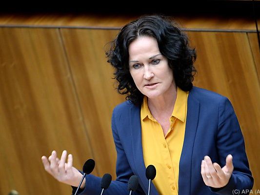 Glawischnig fordert mehr Transparenz Glawischnig fordert mehr Transparenz