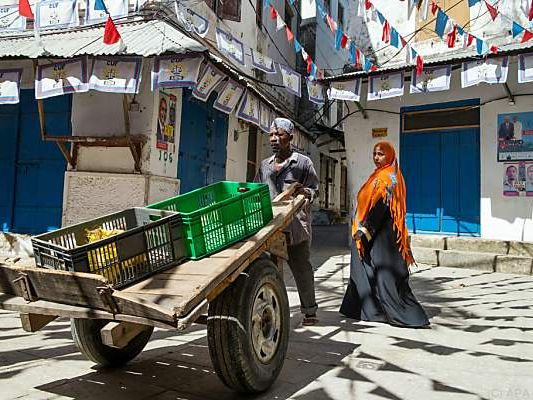 Die Insel wird von einer Epidemie heimgesucht Die Insel wird von einer Epidemie heimgesucht