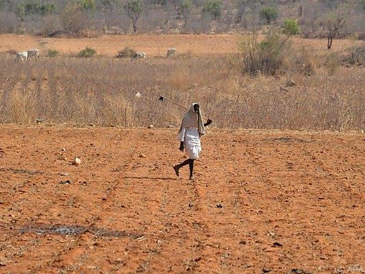 Hunderte Millionen Menschen leiden unter der Dürre