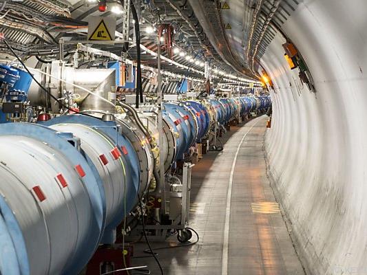 Marder löste Kurzschluss im CERN aus