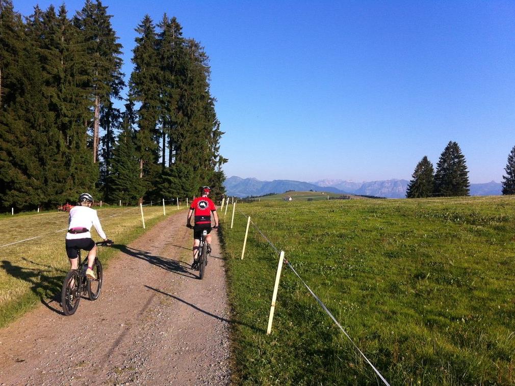 Legal biken auf österreichischen Forststraßen