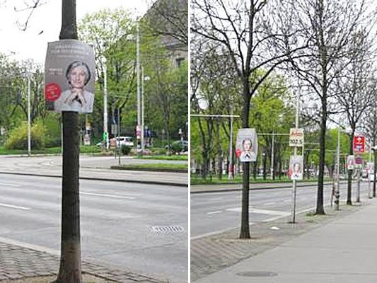 In Margareten wurden die "Griss-Bäume" entdeckt. In Margareten wurden die "Griss-Bäume" entdeckt.