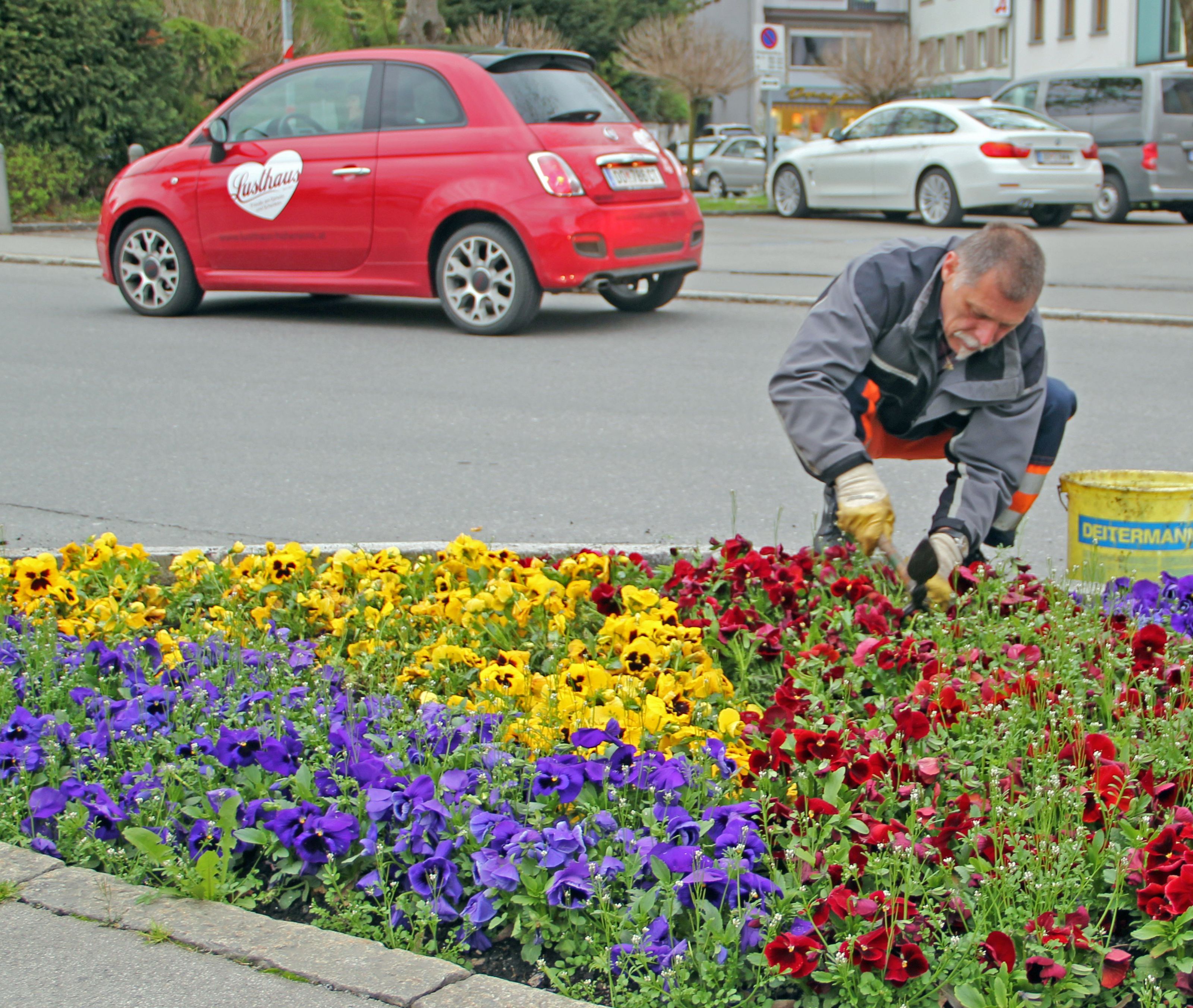 Unkrauterdung am Schlossplatz Unkrauterdung am Schlossplatz