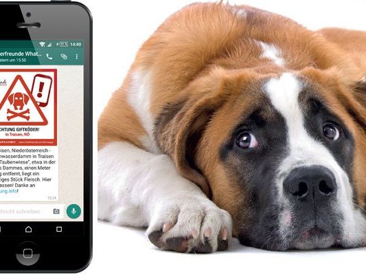 Eine neue WhatsApp-Gruppe warnt Tierhalter vor Giftködern Eine neue WhatsApp-Gruppe warnt Tierhalter vor Giftködern