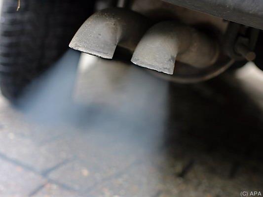 Autoabgase gehören zu den größten Verschmutzern