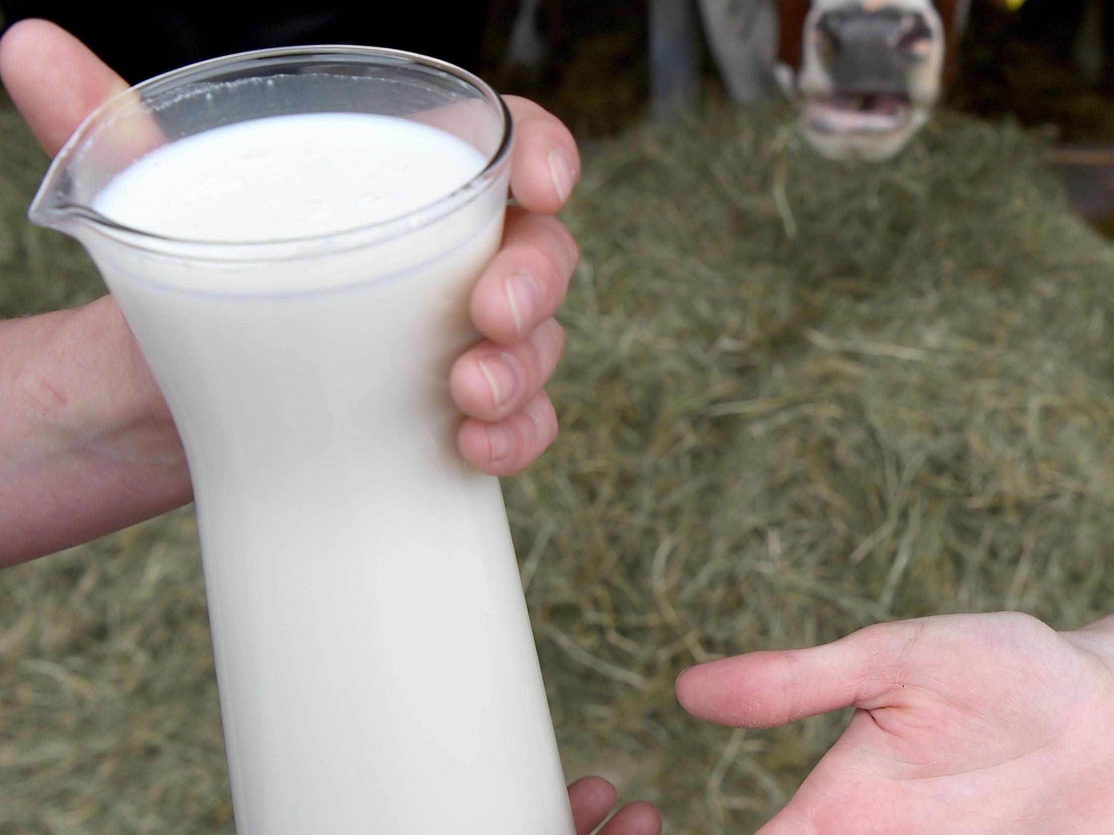 Der Milchpreis fällt in Vorarlberg auf neuen Tiefstand.
