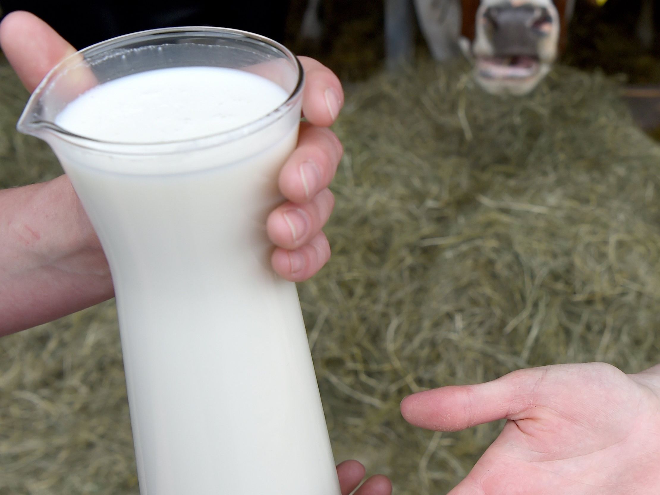 Der Milchpreis fällt in Vorarlberg auf neuen Tiefstand. Der Milchpreis fällt in Vorarlberg auf neuen Tiefstand.