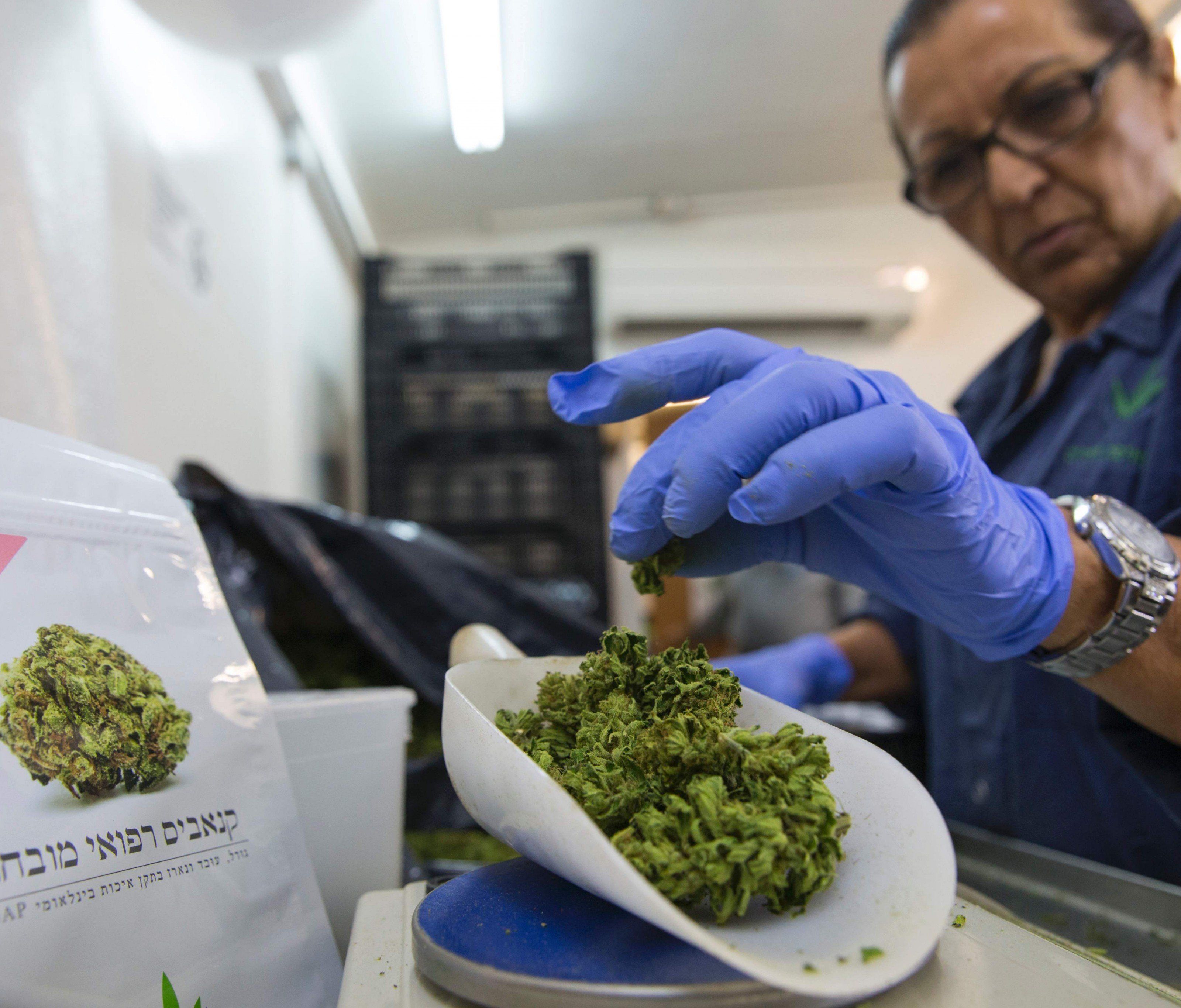 Cannabis auf Rezept soll es in Deutschland ab 2017 geben. Cannabis auf Rezept soll es in Deutschland ab 2017 geben.