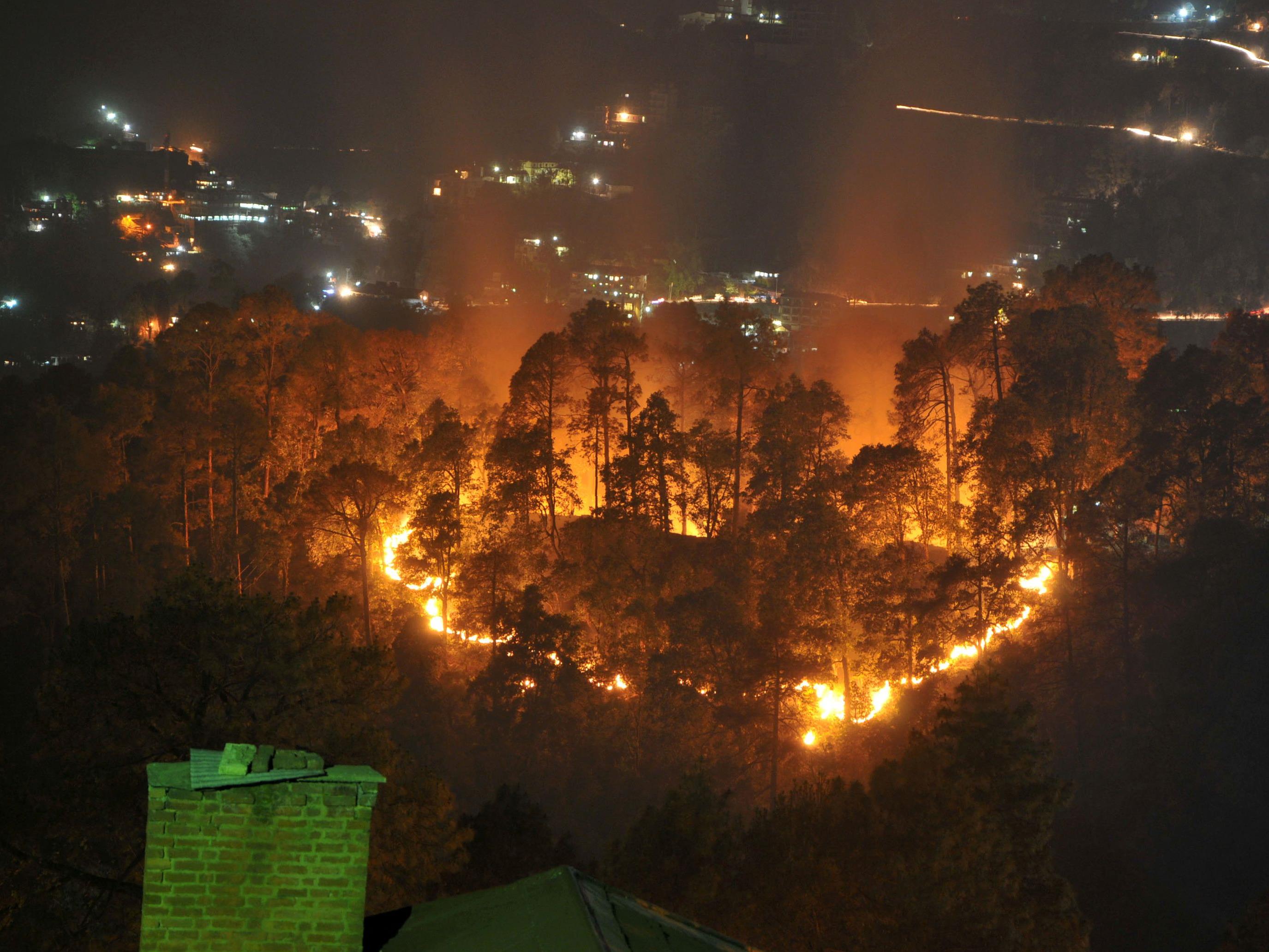 Die Waldbrände bedrohen ein UNESCO-Welterbe.