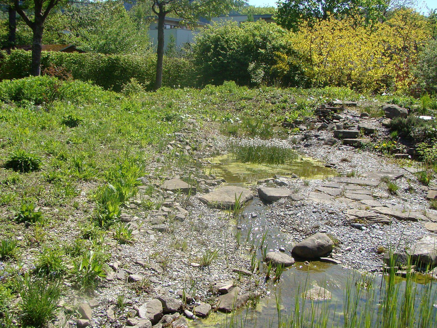 Naturgarten Naturgarten