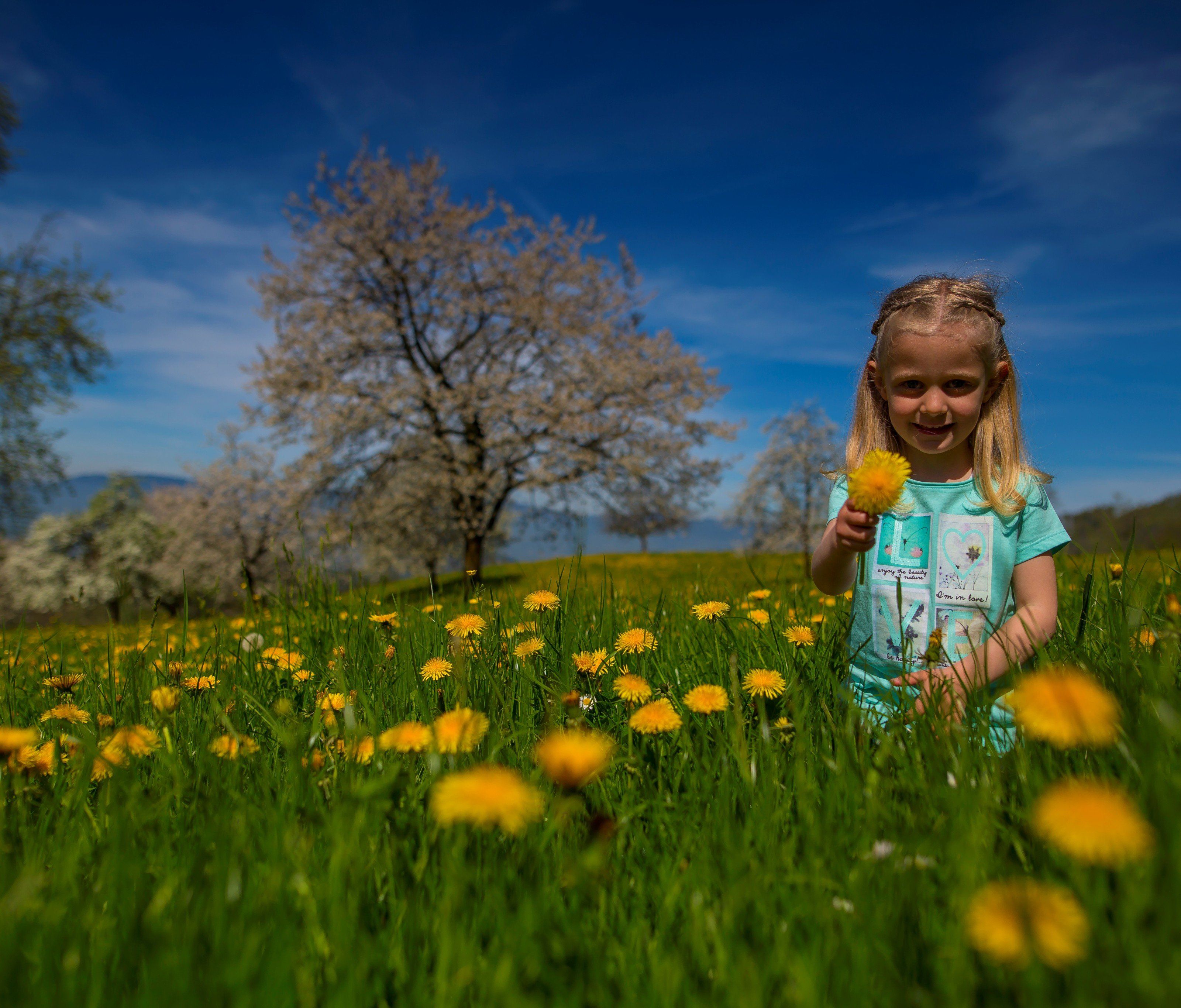 Ab Donnerstag lautet die Wetter-Vorhersage Frühling.