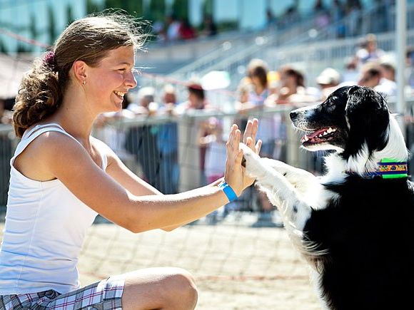 Jede Menge Spaß verspricht der Hundetag in Baden Jede Menge Spaß verspricht der Hundetag in Baden