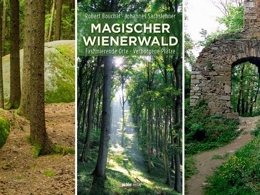 Der Wienerwald hat sein mystisch-romantisches Image nicht umsonst. Der Wienerwald hat sein mystisch-romantisches Image nicht umsonst.