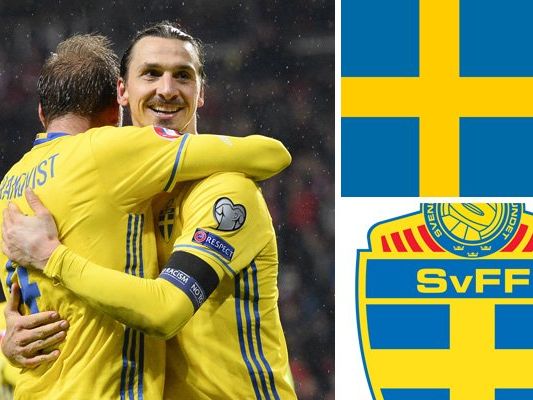 Kader und Teamportrait der schwedischen Nationalmannschaft. Kader und Teamportrait der schwedischen Nationalmannschaft.