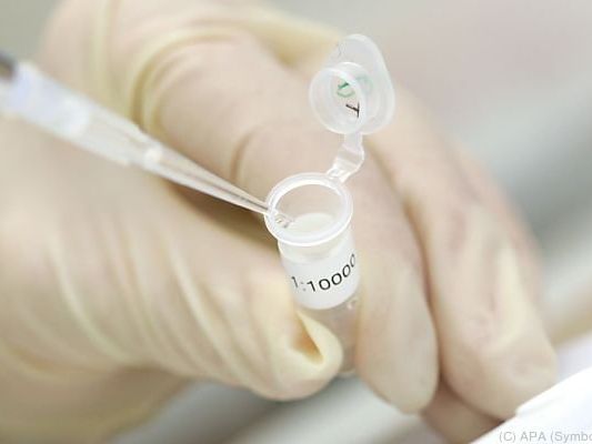 DNA-Test führte nun zu einem Treffer DNA-Test führte nun zu einem Treffer