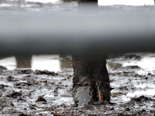 Landwirt zeigt sich uneinsichtig. Landwirt zeigt sich uneinsichtig.