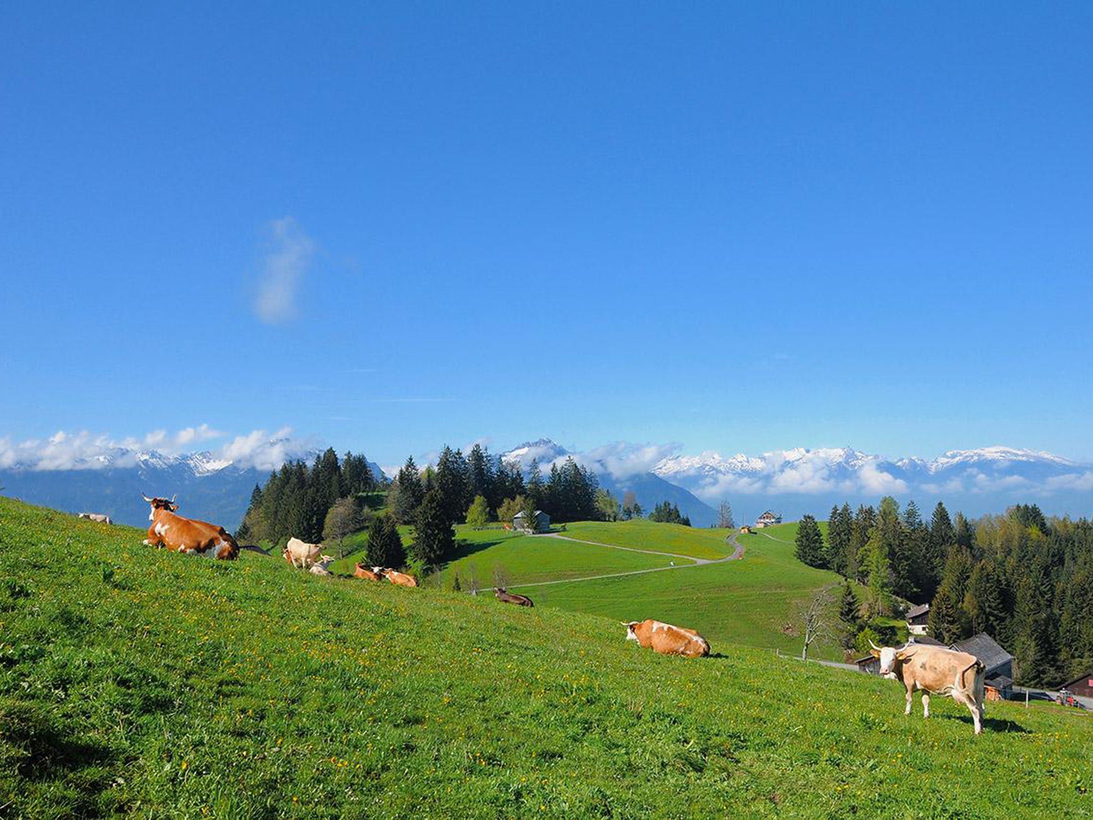 Die Projektgruppe Vision – Naherholungsgebiet Furx hat in nächster Zeit einiges zu tun. Die Projektgruppe Vision – Naherholungsgebiet Furx hat in nächster Zeit einiges zu tun.