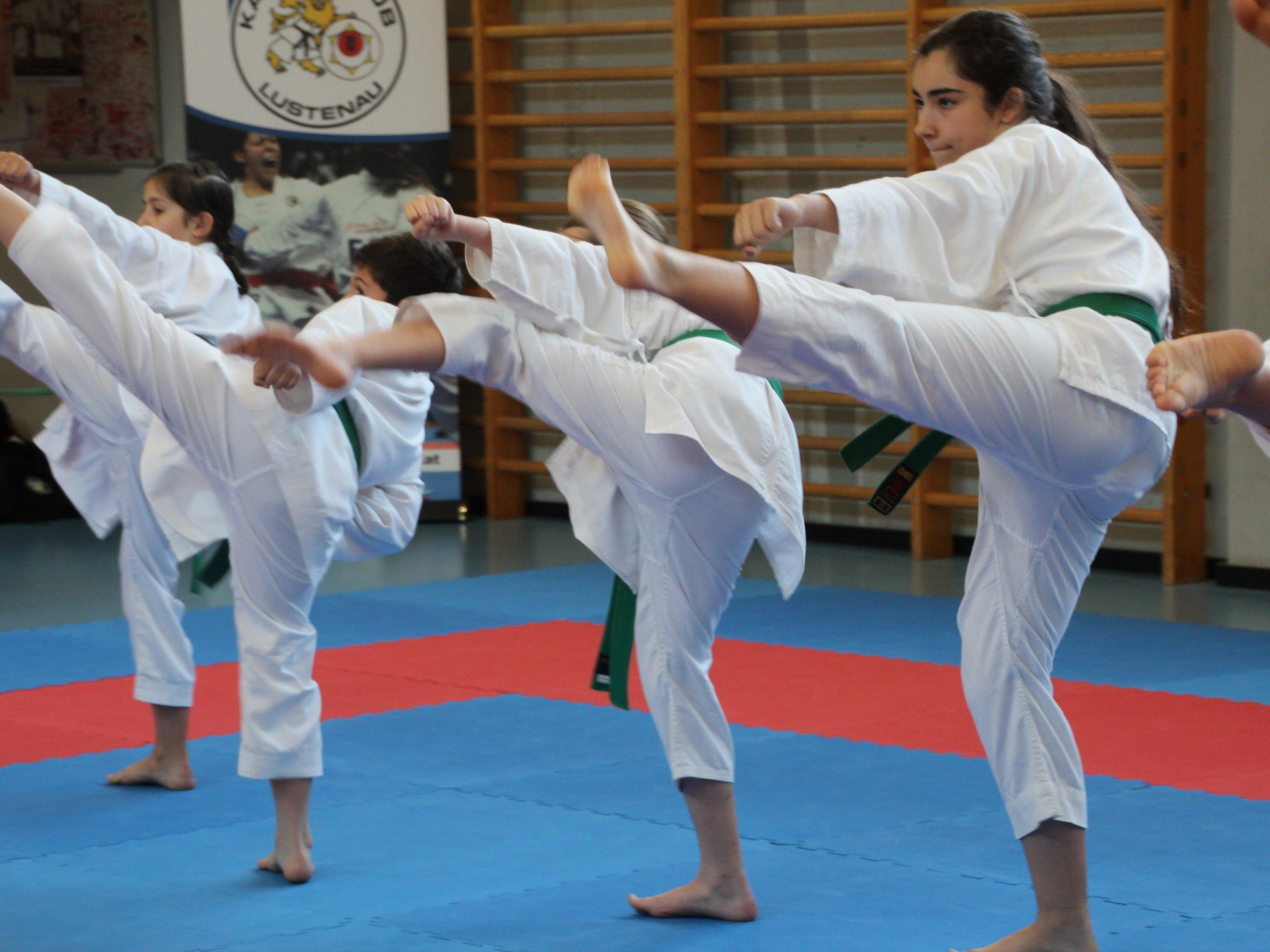 Volle Konzentration ist bei den schwierigen Arm- und Beintechniken im Karate gefordert.