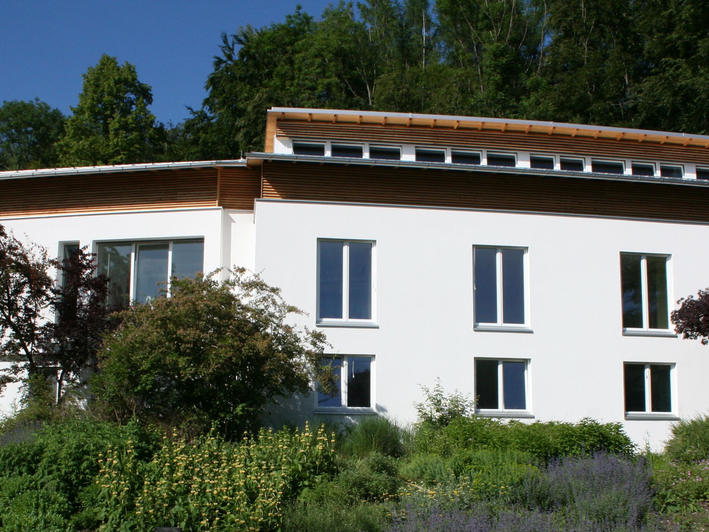 Die Bauarbeiten gehen ins Finale. Die Fassade des Jugendhauses hat einen neuen Anstrich bekommen, im Hausinneren wird noch bis zum letzten Tag gearbeitet. Die Bauarbeiten gehen ins Finale. Die Fassade des Jugendhauses hat einen neuen Anstrich bekommen, im Hausinneren wird noch bis zum letzten Tag gearbeitet.