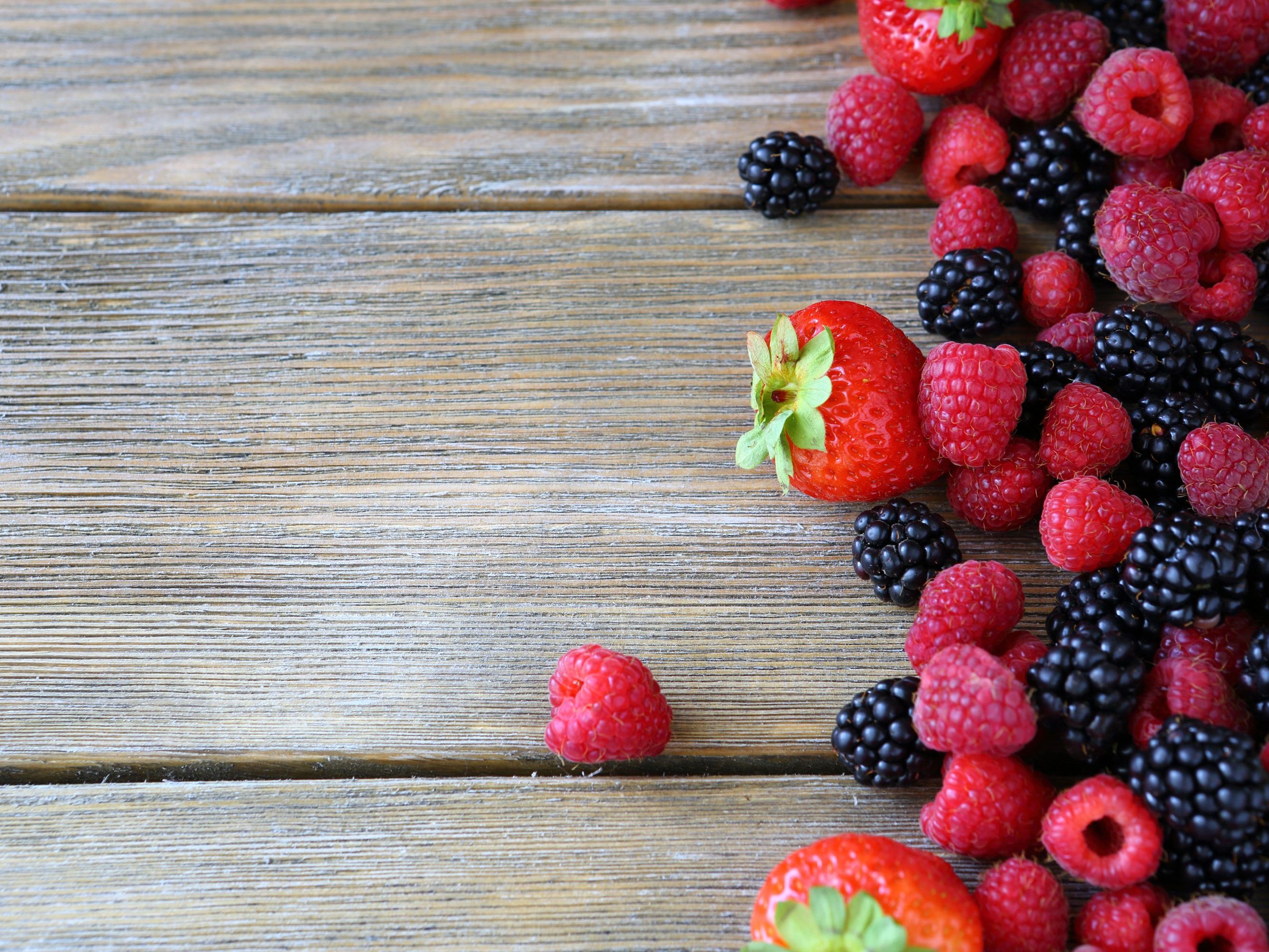 FrühlingsMarkt FrühlingsMarkt