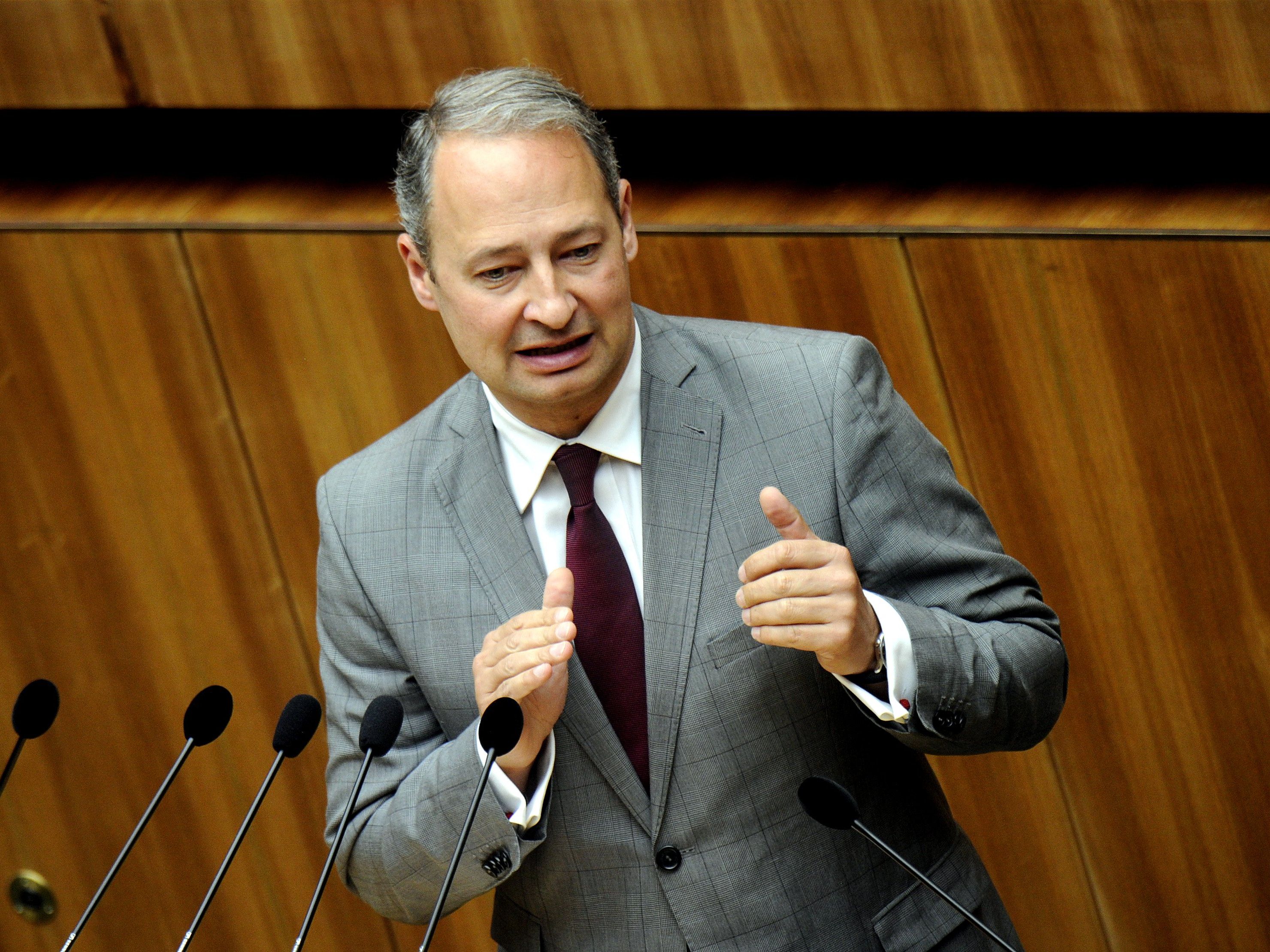 SPÖ-Klubobmann Andreas Schieder SPÖ-Klubobmann Andreas Schieder