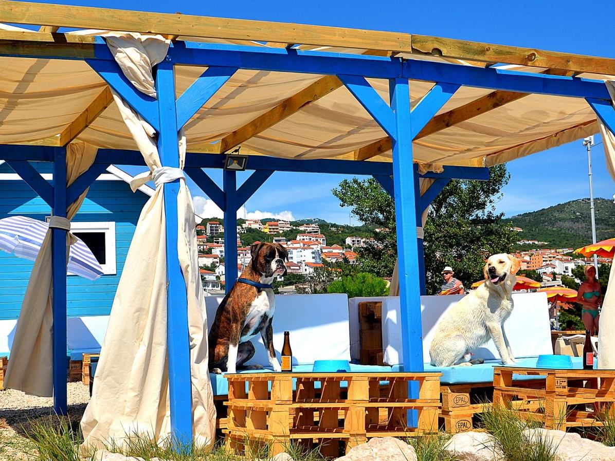 Ein Luxusstrand für Hunde in Kroatien. Ein Luxusstrand für Hunde in Kroatien.