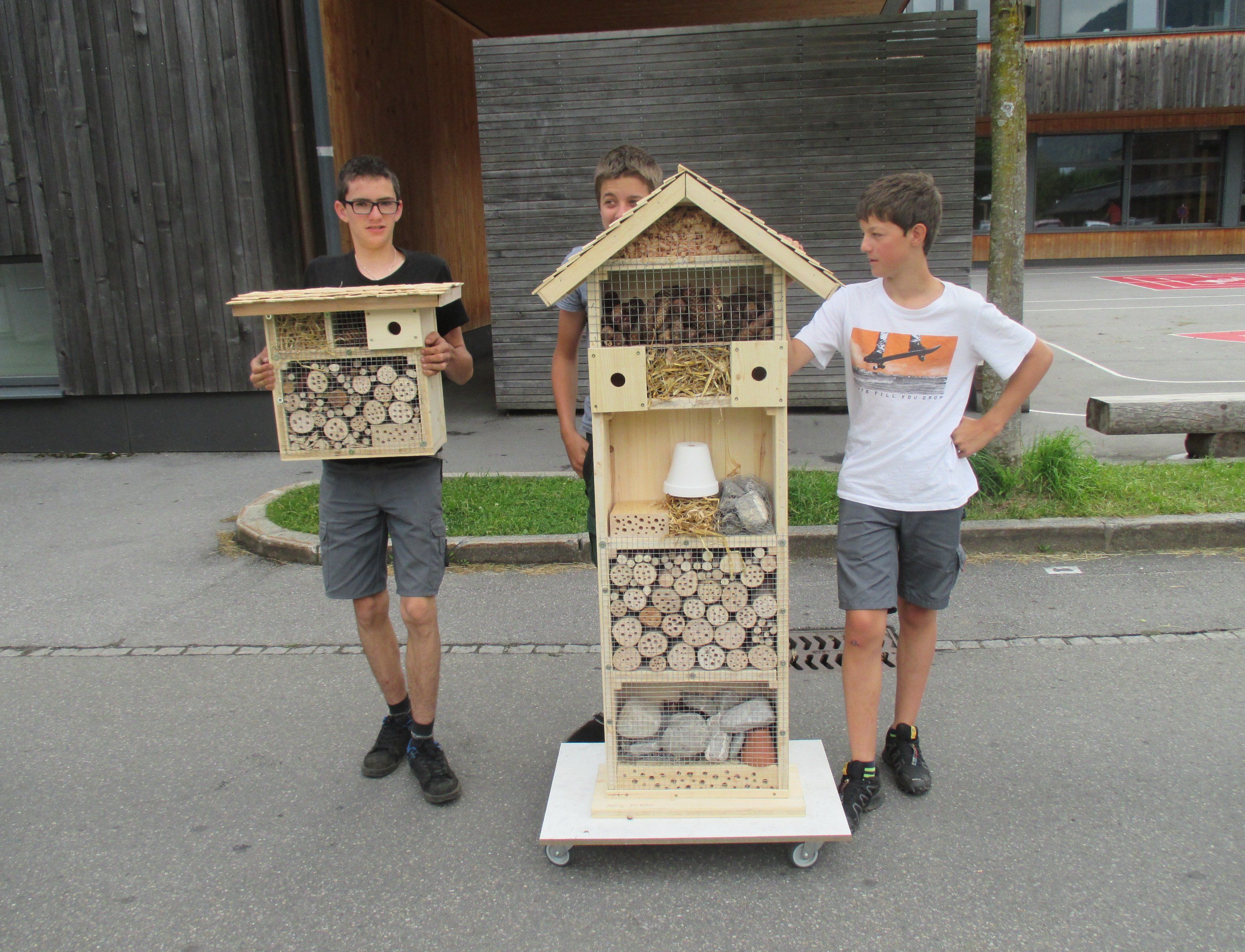 Die Schüler der PTS Bezau mit den fertigen Insektenhäusern Die Schüler der PTS Bezau mit den fertigen Insektenhäusern