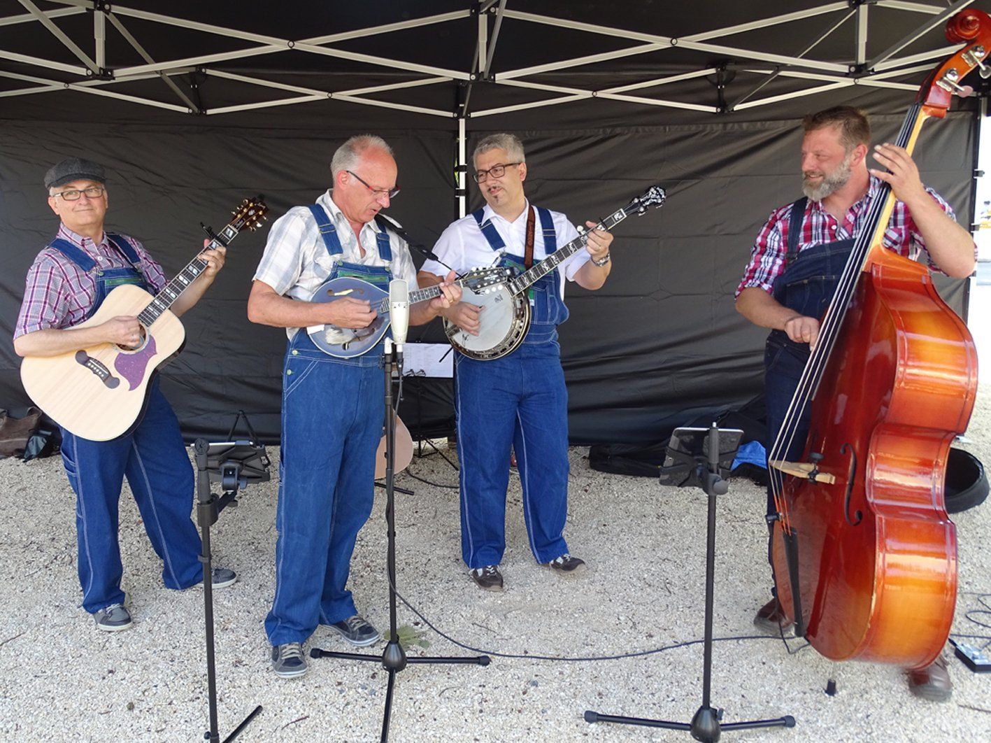 Die „Lounge Pickers“ aus der Ostschweiz begeisterten beim „Bluegrass Jamboree“ auf dem Schlossplatz. Die „Lounge Pickers“ aus der Ostschweiz begeisterten beim „Bluegrass Jamboree“ auf dem Schlossplatz.
